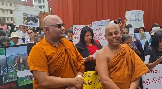 Protest Calls for Wildlife Minister to Resign Over Kavanthissa’s Death